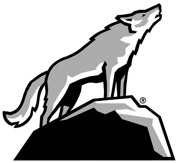 North Carolina State Wolfpack 2006-Pres Alternate Logo t shirts iron on transfers v10